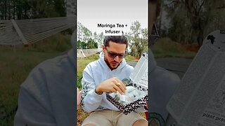 Moringa Tea + Infuser Included with New Moringa Gift Box