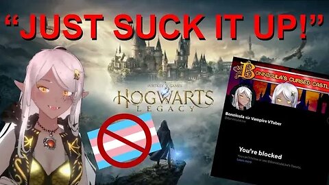 Idiotic V-Tuber Thinks You Should Harass Hogwarts Legacy Streamers