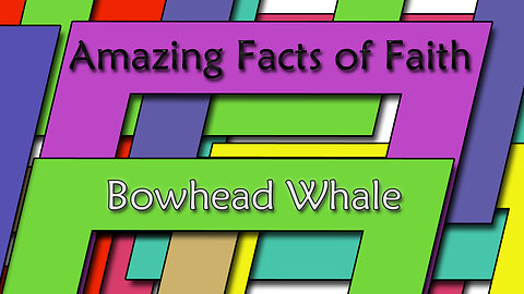 Amazing Facts Of Faith ~ Bowhead Whale