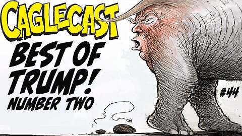 Best Trump Cartoons Number Two