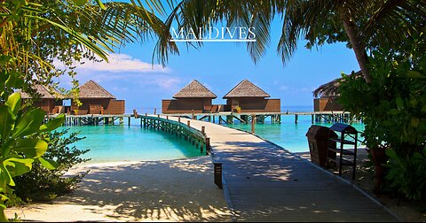 TRAVEL MALDIVES