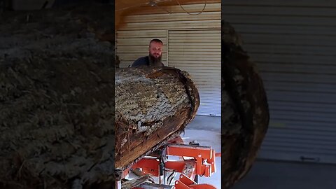 Super70 Sawmill In Action, Yellow Poplar #shorts #woodworking