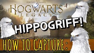 ⚡Where to Find and Capture the Hippogriff in Hogwarts Legacy⚡