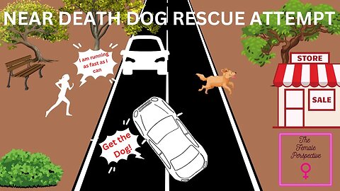 Near Death Dog Rescue Attempt #dogrescue #podcastclips #comedy #dogs