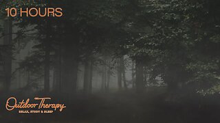 Peaceful Foggy Night on a Forest Path | Relaxing Night Sounds for Sleeping | Studying | 10 HOURS