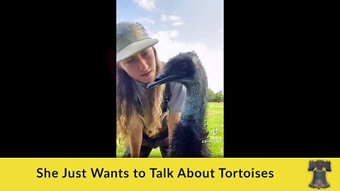 She Just Wants to Talk About Tortoises