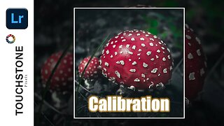 Lightroom Tutorial for Beginners - Episode 10 - Calibration