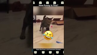 Funny Tiktok Compilation #shorts