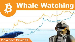 Bitcoin: Whale Watching