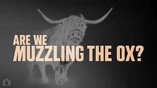 Are We Muzzling The Ox? Part 1