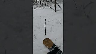 Back Country Snowboarding