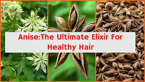 Transform Your Hair Care Routine with Anise: The Ultimate Elixir for Healthy Hair