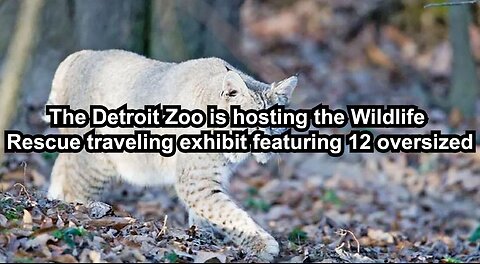 The Detroit Zoo is hosting the Wildlife Rescue traveling exhibit featuring 12 oversized