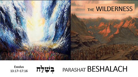 Parashat Beshalach: Exodus 13:17—17:16 – The Wilderness