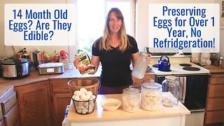 Preserve Eggs for More than 1 Year, NO Refrigeration! What Does a 14 Month Old Egg Look Like?