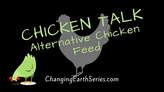 Chicken Talk & Alternative Feeds
