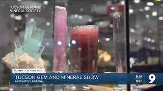 How the Tucson Gem and Mineral Show grew into the world's largest