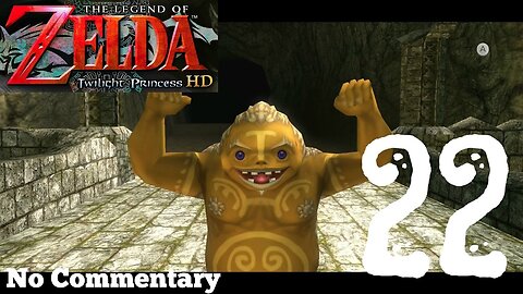 The Legend of Zelda Twilight Princess HD - Ep22 Poes & Hearts #2 No Commentary