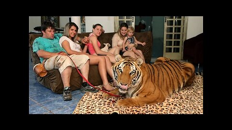 Living With Tiger: Family Share Home With Pet Tiger