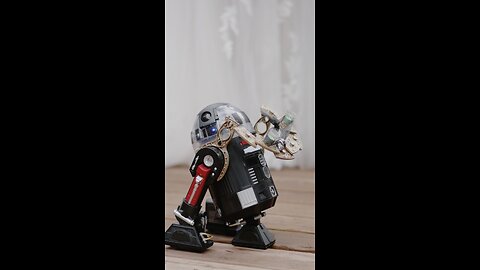 Droid Is The Ring Bearer at a Star Wars Themed Wedding And It's the Cutest Thing Ever