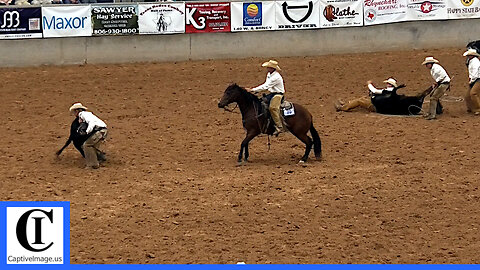 Stray Gathering - 2021 Coors Cowboy Club Ranch Rodeo | Saturday