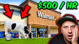 HOW TO MAKE $500 AN HOUR WITH WALMART CLEARANCE