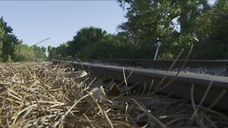 Vines Estero gated community concerned about abandoned rail becoming public trail