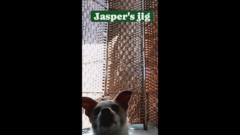 Jasper's Jig