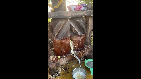 SUGARCANE JUICE