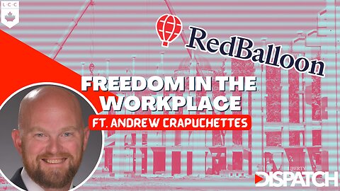 LD INTERVIEWS: Freedom in the Workplace ft. CEO & Founder of RedBalloon, Andrew Crapuchettes