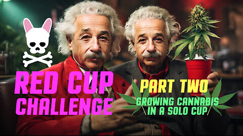 Red Solo Cup Challenge Part 2 of 2 - Party Cup Harvest