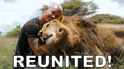 When Lion reunited with his owner