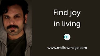 Find Joy in Living