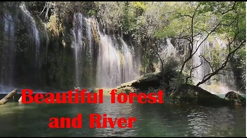Beautiful forest and River