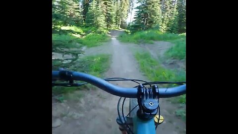 Are these Jumps some of the Best at any Bike Park?! (I think so)