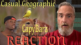 Casual Geographic Cabybara Reaction