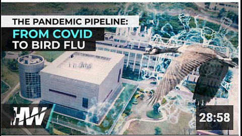 THE PANDEMIC PIPELINE FROM COVID TO BIRD FLU