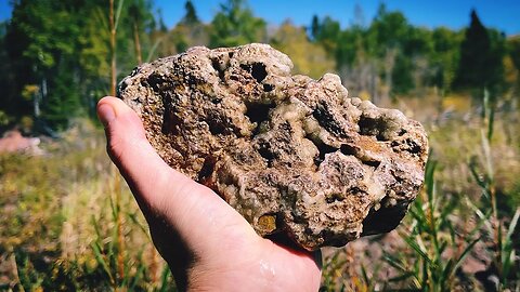 Fall Rockhounding | Going Back for a BIG Chunk of Botryoidal Prehnite