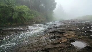 River relaxing in mist brown noise 4k. #river#nature#brown noise