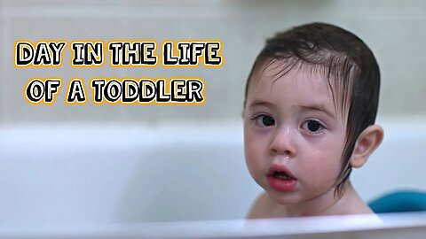 A Day In The Life Of A Toddler