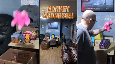 Monkey Madness! Entity Keeps Playing Games
