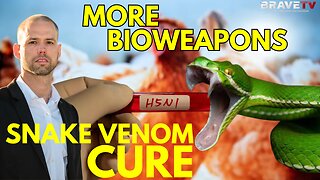 Brave TV - Ep 1761 - Bird Flu on Deck? Snake Venom, The CURE, NOT the Cause