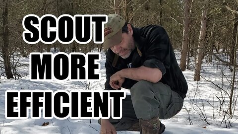 Tips to scout more efficiently with Dan Infalt