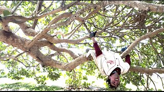 Learning How to Climb Trees with Tony Stark * Captain America