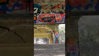 Beneath the Graffiti Bridge to Nowhere 4 #shorts