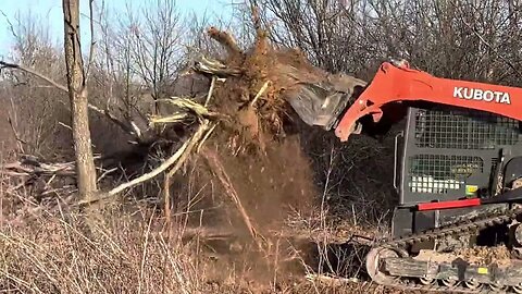 Monster thorn trees attacked by monster skid steer.