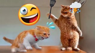 Funny Animals 🐱 🐶 - Who laughs will have to comment - #2 (2023)