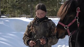 The Little Iron Horse Goes Logging