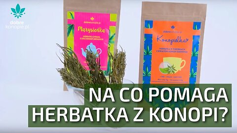 Susz CBD - konopie do picia | Dobrekonopie.pl