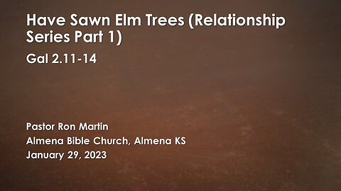 Relationship Series Part 1 - Half Sawn Elm Trees